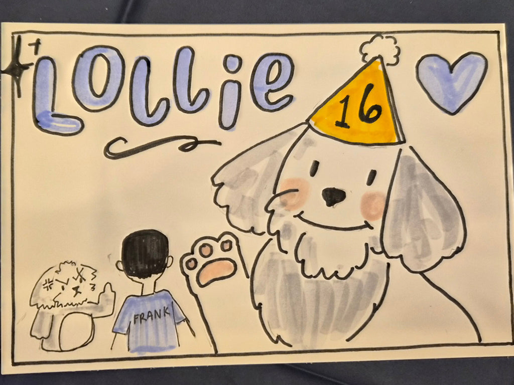 Custom Pet Portraits !