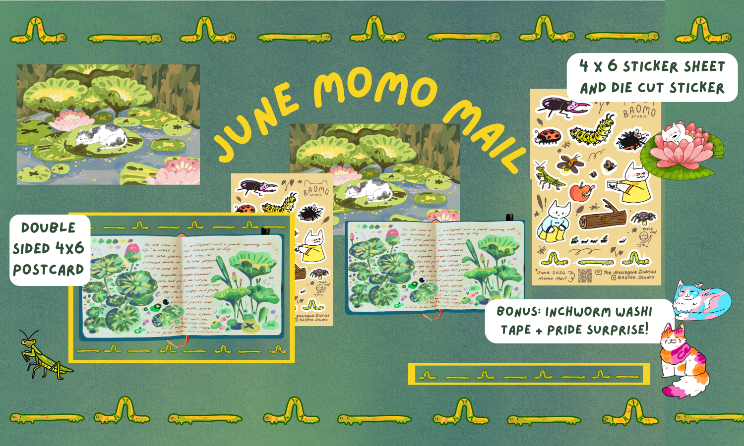 Previous Momo Mail Packages