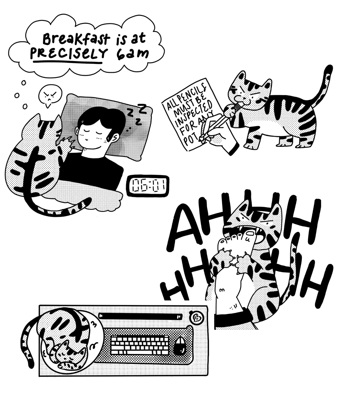 Momo Manual Zine