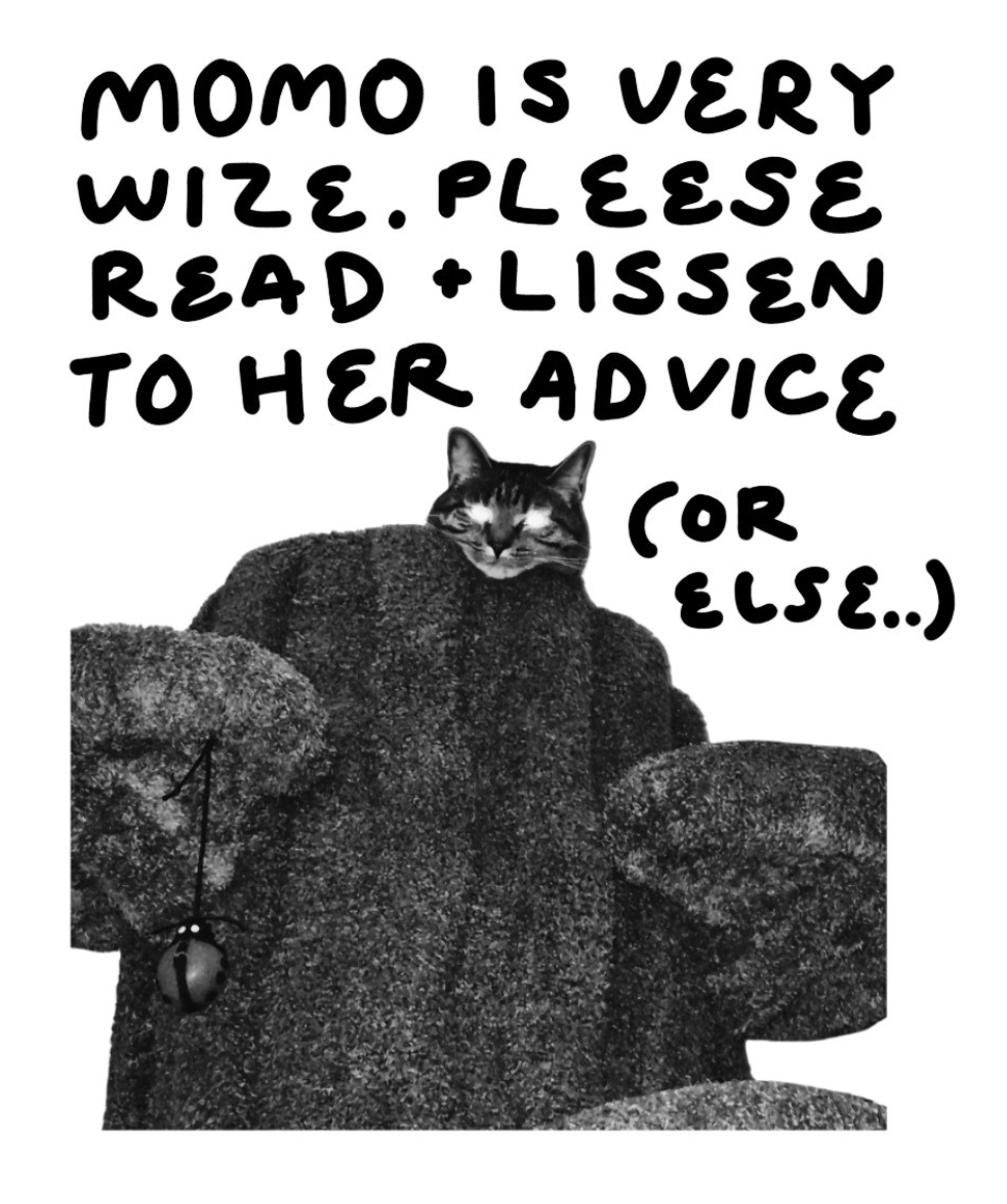 Momo Manual Zine