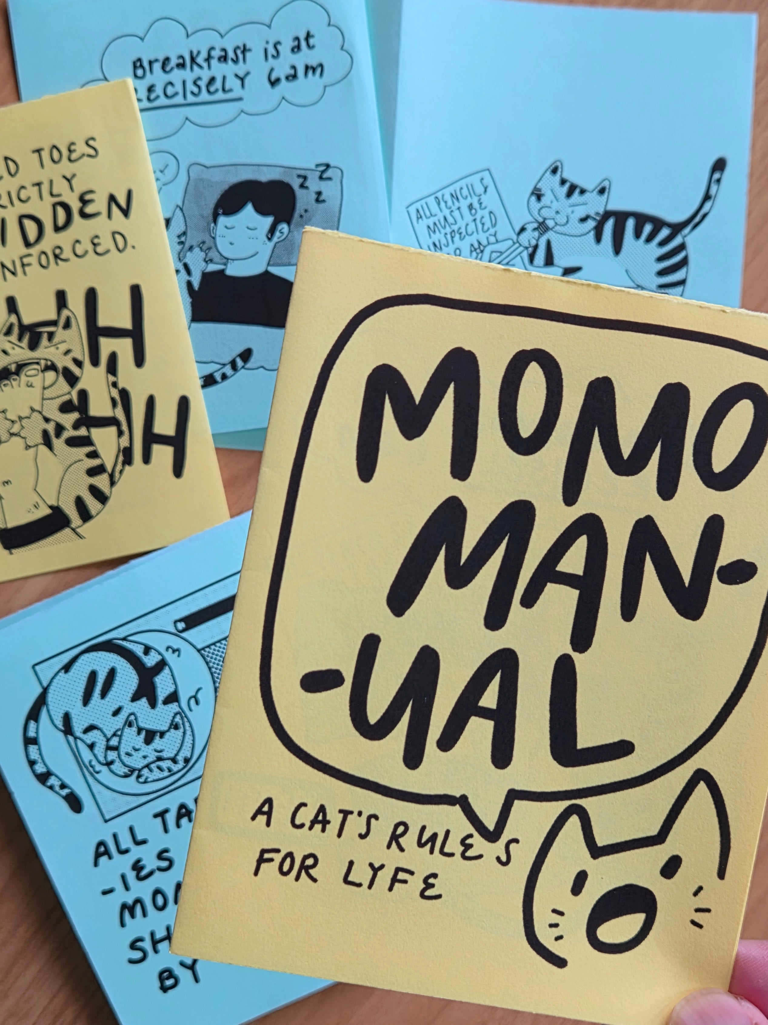 Momo Manual Zine